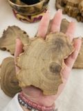  Đế gỗ Cedarwood tự nhiên, khoanh gỗ, lát gỗ tự nhiên, gỗ của cây Tuyết Tùng dùng Decor, đốt trầm, trưng bày đá tinh thể 