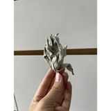  Xô thơm trắng (White Sage) thanh tẩy không gian, xông nhà, dùng trong phong thủy, bài Tarot, Reiki, healing, thiền định 