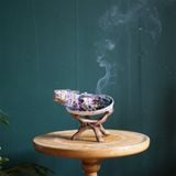  Vỏ sò / bào ngư đốt sage / xô thơm lớn kèm đế 