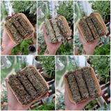  Bó xông thảo mộc, que xông thảo mộc xông nhà, thanh tẩy, làm sạch không gian sống 