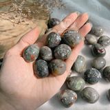  Viên tumbled đá Bloodstone (huyết ngọc) dùng trong Tarot, reiki, phong thủy, năng lượng 