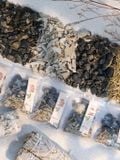  Túi Đá Bảo Vệ Black Tourmaline mix các loại thảo mộc - bảo vệ khỏi năng lượng tiêu cực, đá phong thủy 