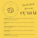  Set đá may mắn cho Cự Giải, đá thạch anh, đá thanh tẩy bài Tarot, đá phong thuỷ 