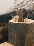 [ORGANIC TỰ NHIÊN] Nụ Thảo Mộc Rainbow Eucalyptus (Cây Bạch Đàn/Cây Khuynh Diệp), nụ trầm thanh tẩy nhà cửa 