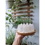  Tháp Selenite thanh tẩy, khuếch đại năng lượng size nhỏ dùng trong Tarot, Reiki, phong thủy, thiền định 
