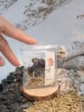  Túi Đá Bảo Vệ Black Tourmaline mix các loại thảo mộc - bảo vệ khỏi năng lượng tiêu cực, đá phong thủy 