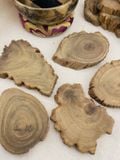  Đế gỗ Cedarwood tự nhiên, khoanh gỗ, lát gỗ tự nhiên, gỗ của cây Tuyết Tùng dùng Decor, đốt trầm, trưng bày đá tinh thể 