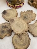  Đế gỗ Cedarwood tự nhiên, khoanh gỗ, lát gỗ tự nhiên, gỗ của cây Tuyết Tùng dùng Decor, đốt trầm, trưng bày đá tinh thể 