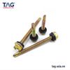 Vít Bắn Tôn Lục Giác