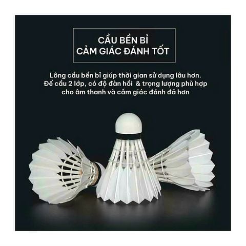  ỐNG CẦU LÔNG BATON 5 