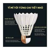  ỐNG CẦU LÔNG BATON 5 