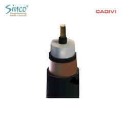Cáp trung thế CXV/S - 12/20(24) kV 1 lõi