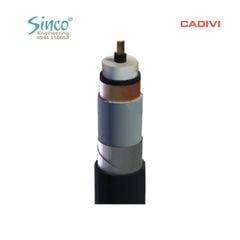 Cáp trung thế CXV/S/DATA -12/20(24) kV 1 lõi