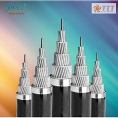 Cáp hạ thế - ASV - 0,6/1kv