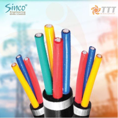 Cáp hạ thế AVV 3 pha + 1 trung tính 0.6/1KV - ruột nhôm, cách điện PVC