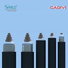 Cáp hạ thế  AXV/DSTA 0.6/1KV - 3P + 1 trung tính