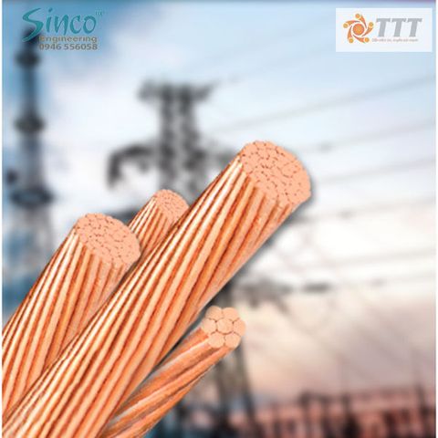 Cáp đồng trần - (C)