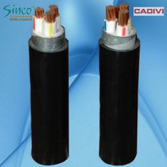 Cáp hạ thế CXV/DSTA 0.6/1KV (2,3,4 lõi)