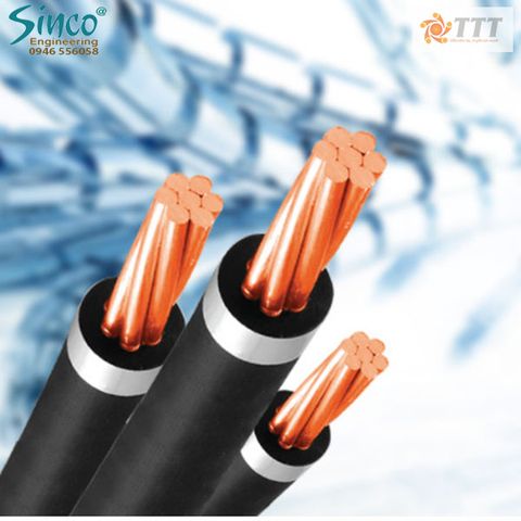 Cáp trung thế ruột đồng hoặc ruột nhôm, chống thấm ruột dẫn, cách điện XLPE - CX  24KV, AX 24KV
