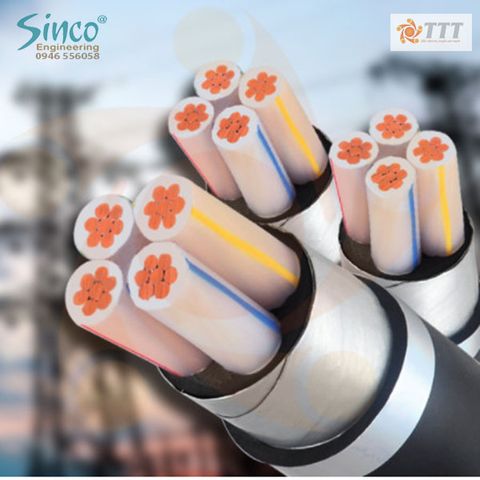 Cáp hạ thế 3 lõi + 1 trung tính, giáp 2 băng nhôm, cách điện XLPE - C/XLPE/DATA/PVC – 0,6/1KV
