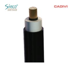 Cáp trung thế CX1V - 12/20(24) KV