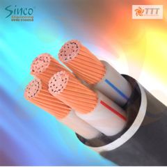 Cáp hạ thế 3 lõi + 1  trung tính, ruột đồng, cách điện XLPE -  C/XLPE/PVC – 0,6/1KV