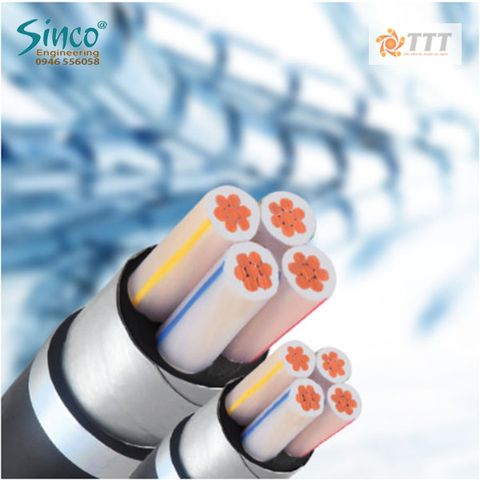 Cáp hạ thế 2,3,4 lõi giáp 2 băng thép, ruột đồng, cách điện XLPE -  C/XLPE/DSTA/PVC – 0,6/1KV