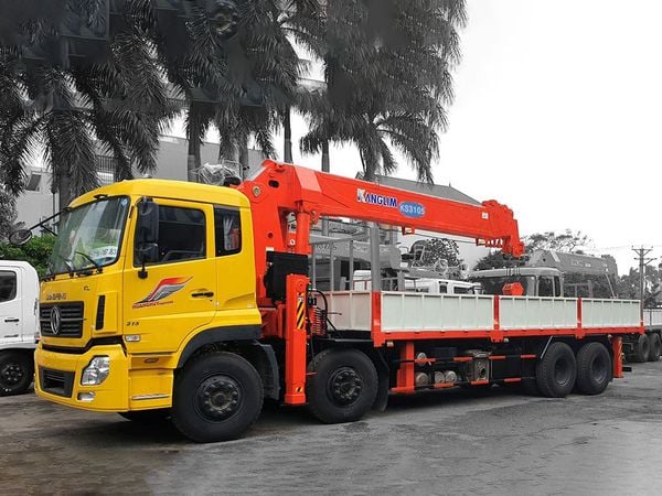 Cẩu Kanglim 12 tấn cần 25m