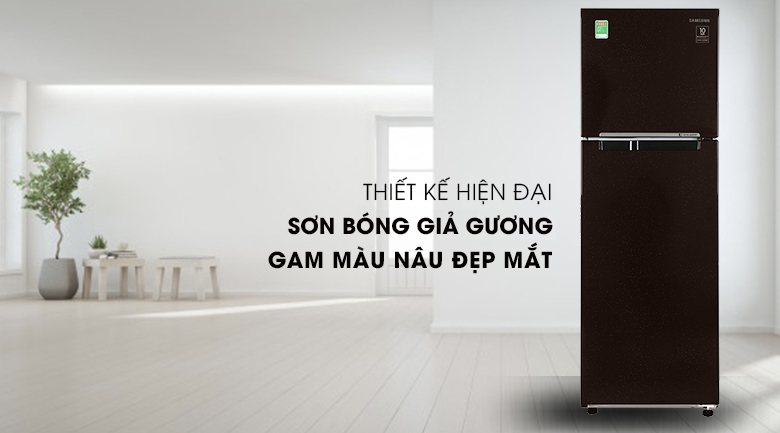 Tủ lạnh Samsung Inverter 256 lít RT25M4032BY/SV màu nâu
