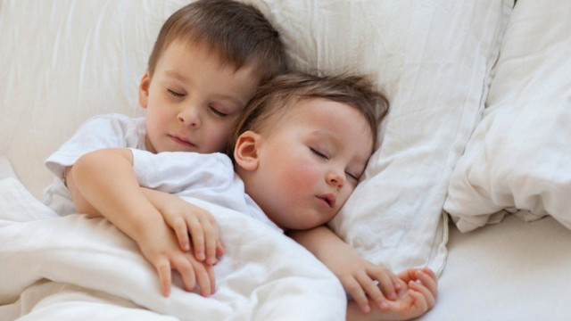 Máy hút ẩm Electrolux EDH12SDAW, 12 lít