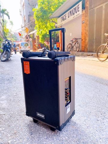 LOA KÉO BINB T10 BASS 25