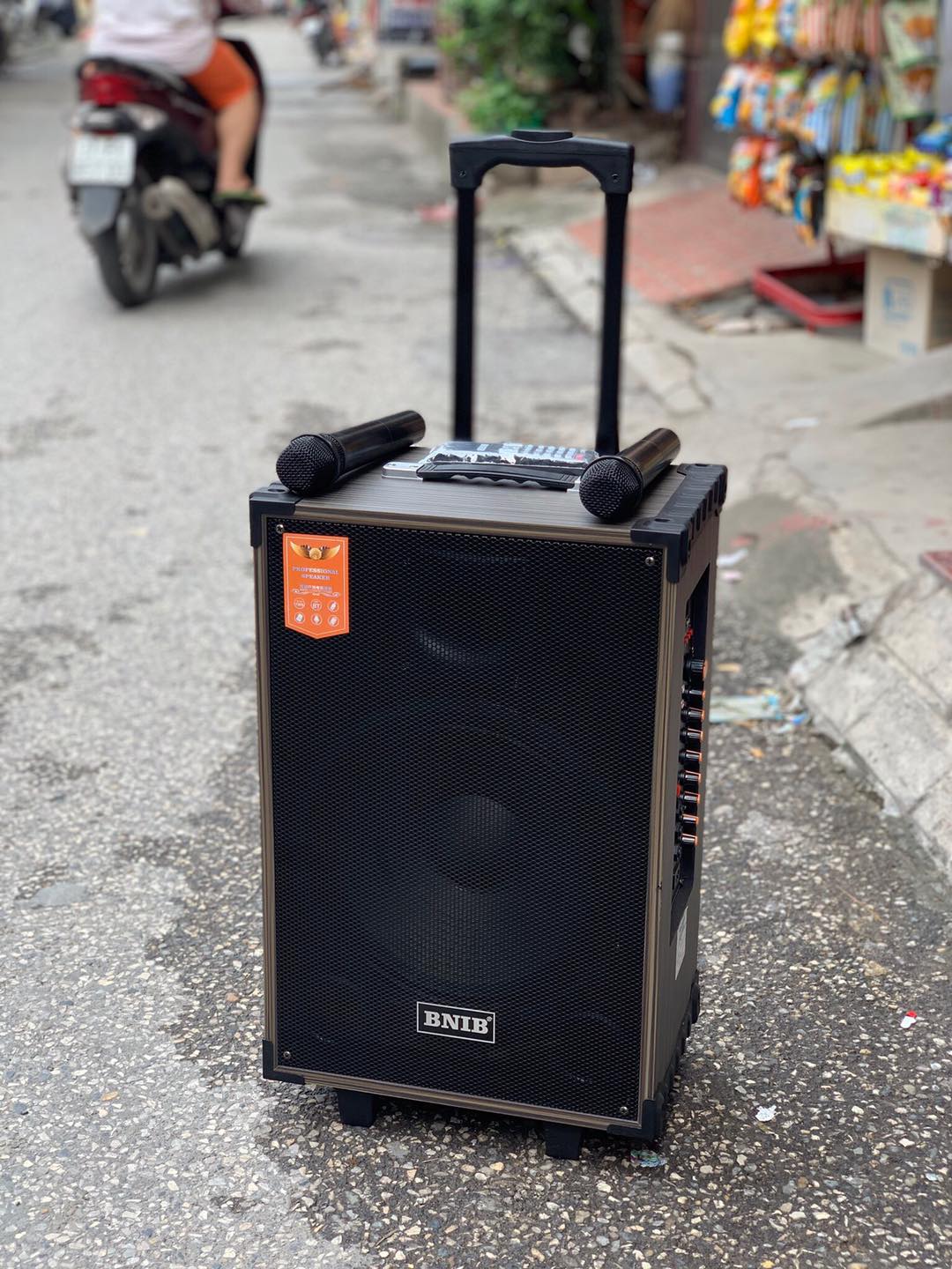 LOA KÉO BNIB T12 BASS 30