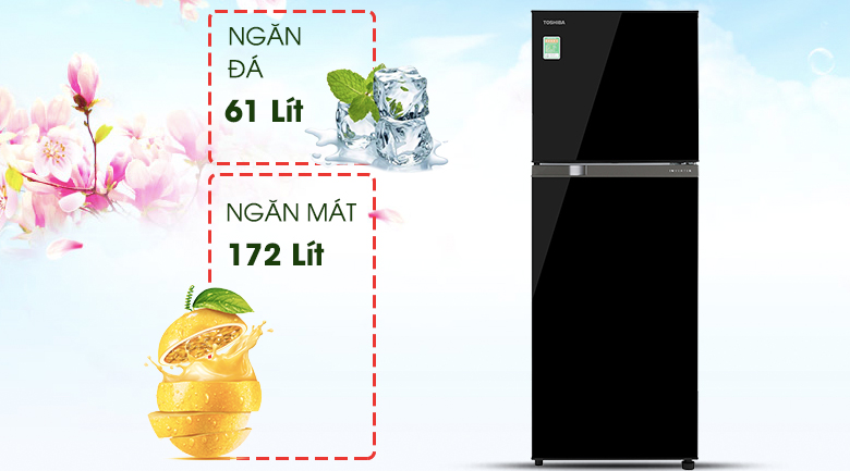 Tủ lạnh Toshiba GR-A28VM(UKG1) 233L