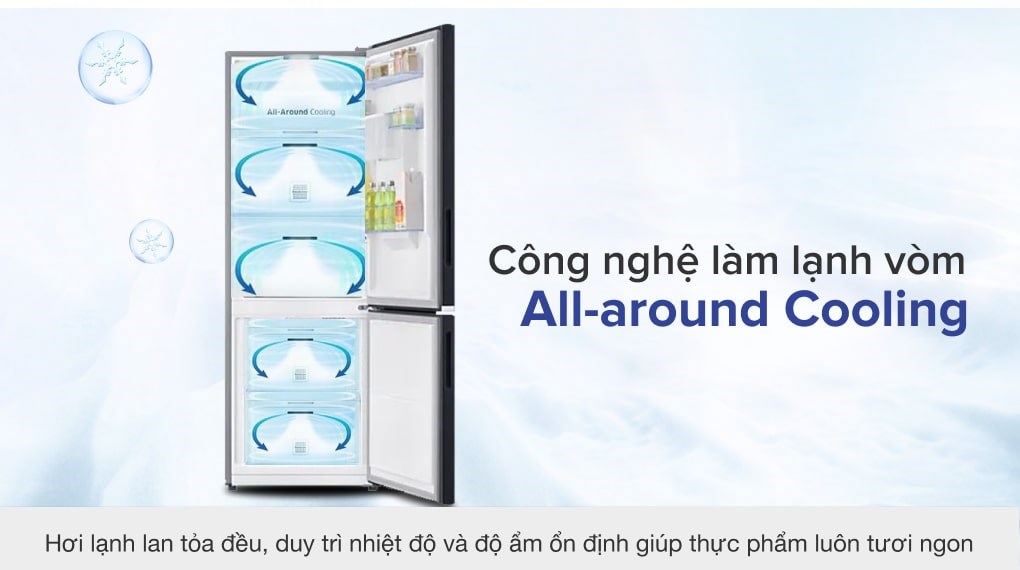 Tủ lạnh Samsung Inverter 307 lít RB30N4190BU/SV