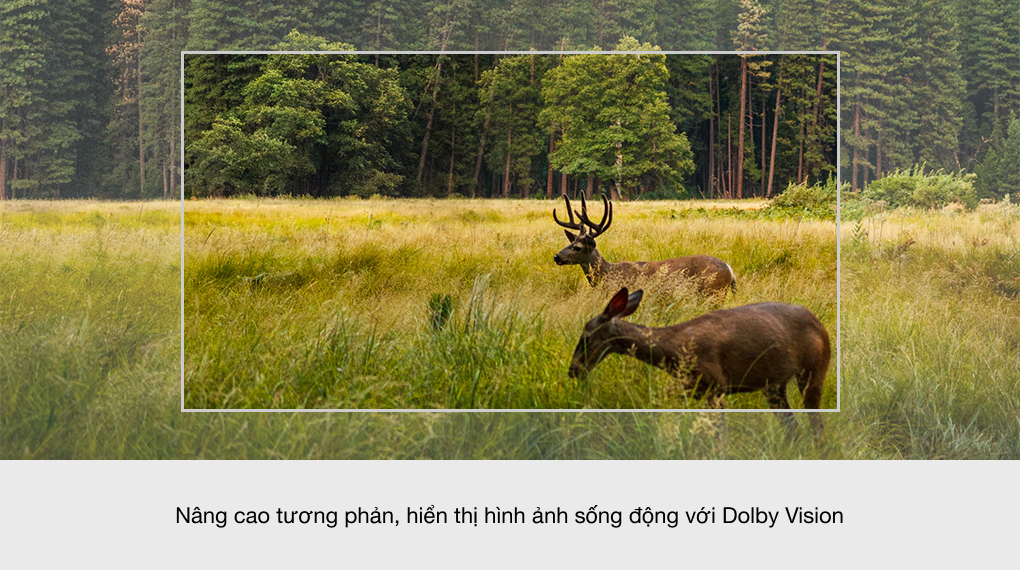 Android Tivi Sony 4K KD - 55X80J Giọng nói