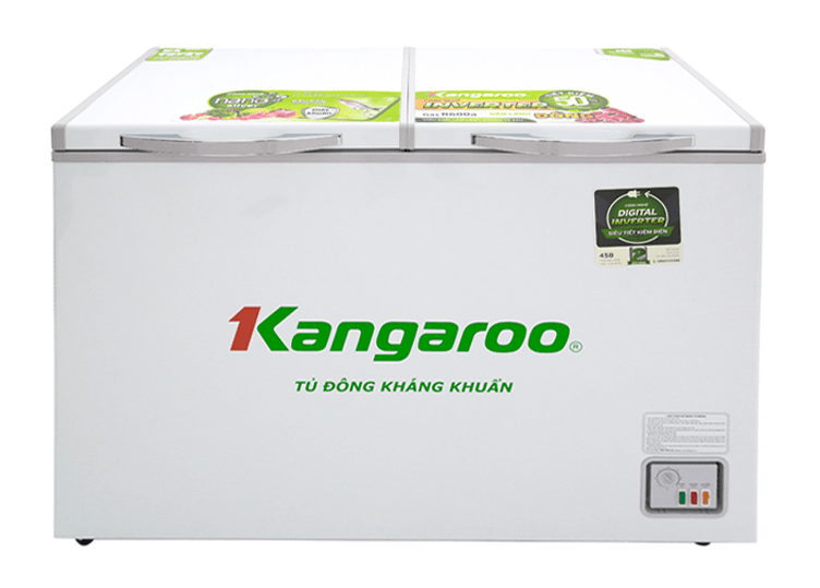 Tủ đông Kangaroo KG399NC1