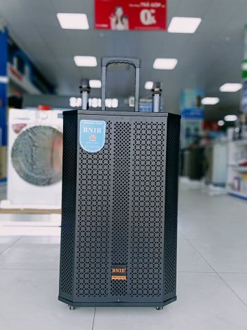 LOA KÉO BNIB 1599 BASS 40, 3 ĐƯỜNG TIẾNG