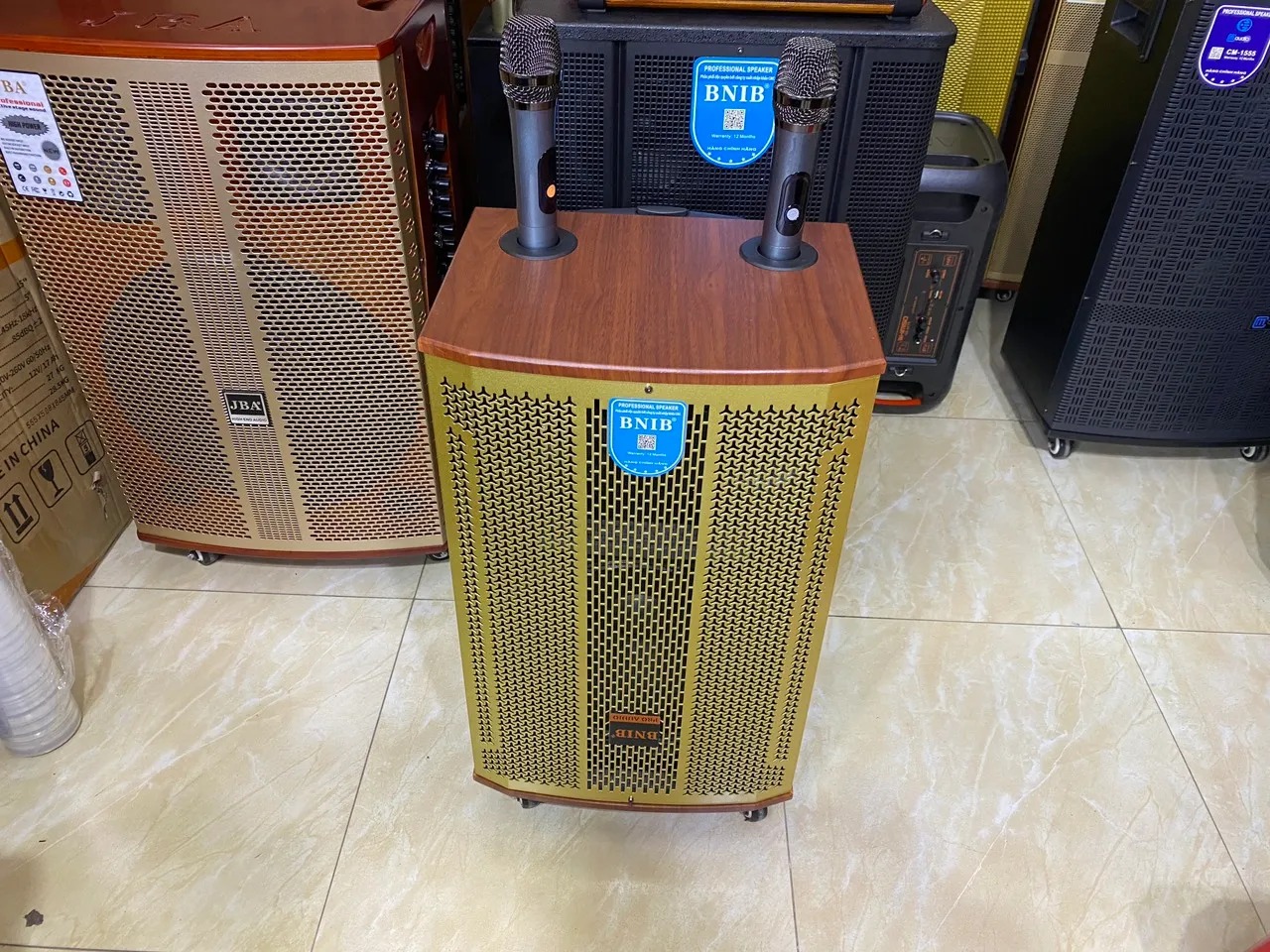 LOA KÉO BNIB 1299 PLUS BASS 30