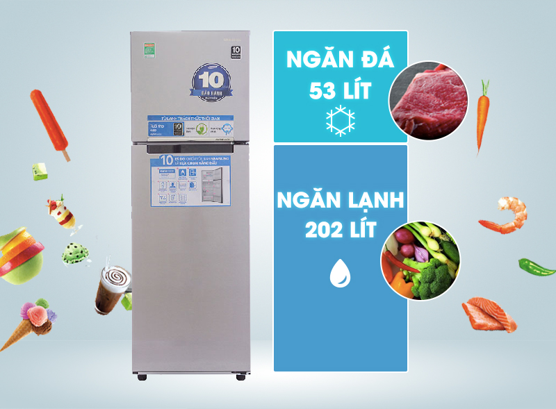 Tủ lạnh Samsung inverter 255 lít RT25FARBDSA