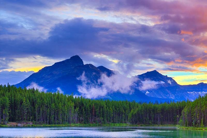 Smart Tivi LG 32 inch 32LM575BPTC ThinQ AI