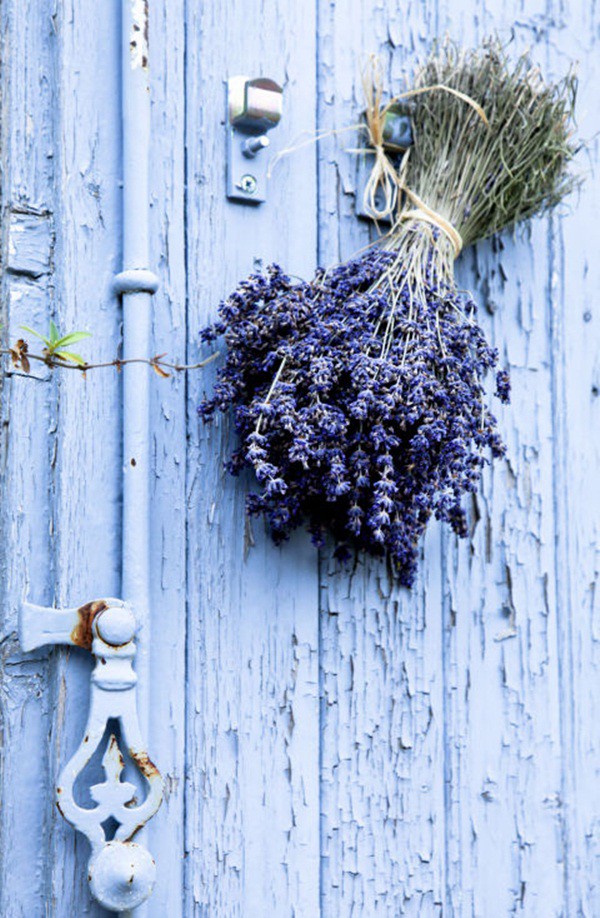 30 ý tưởng trang trí nhà đẹp bằng hoa