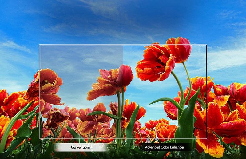 Smart Tivi LG 32 inch 32LQ576BPSA HD