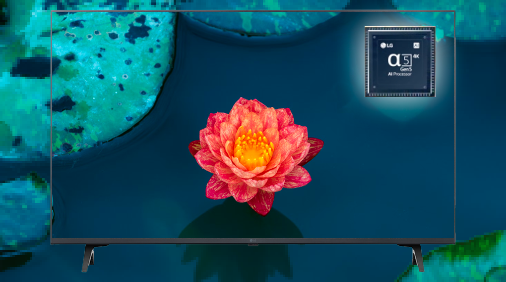 Smart Tivi LG 4K 75 inch 75UQ8000PSC