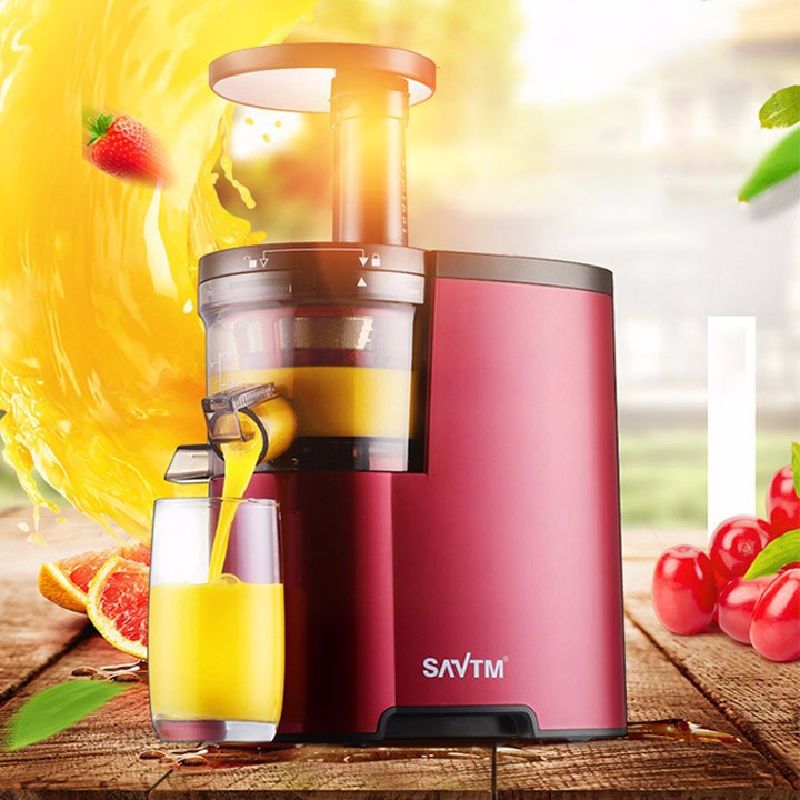 Máy ép chậm SAVTM JE-07