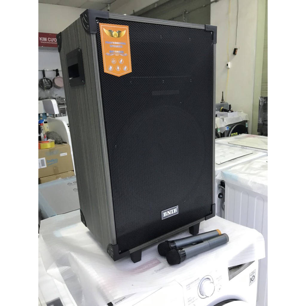 LOA KÉO T15 BNIB BASS 40