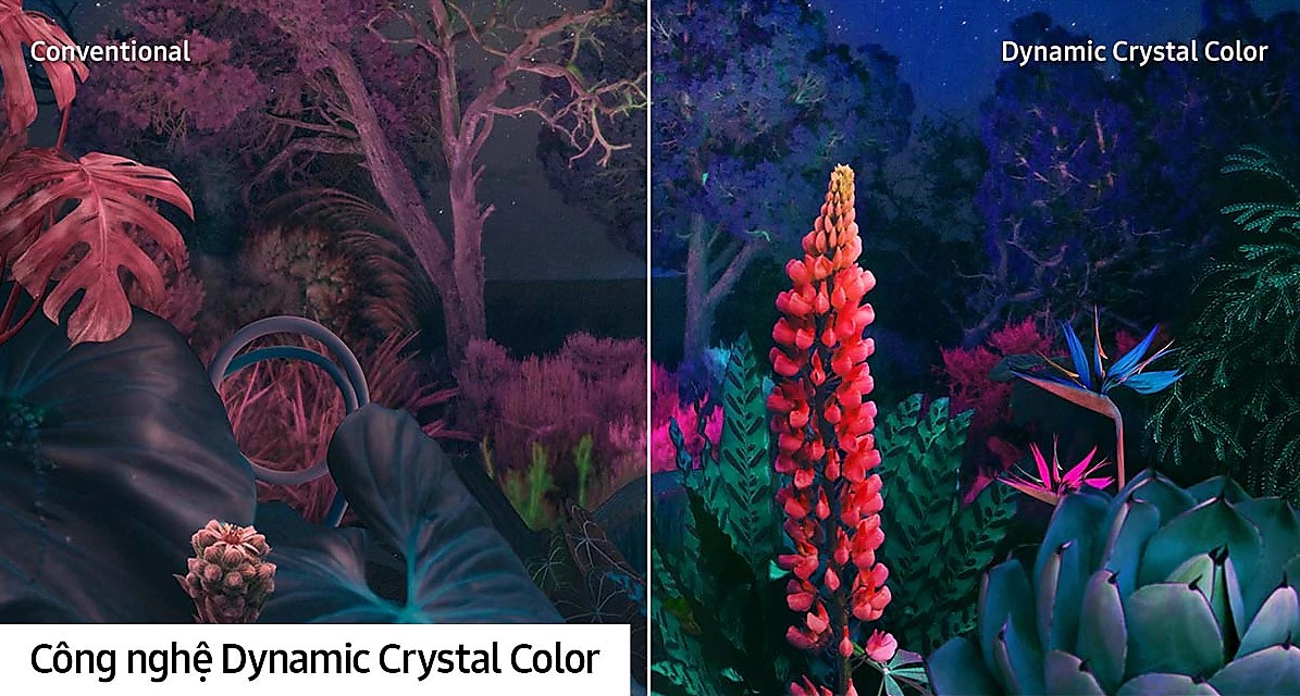 TIVI SAMSUNG 65DU8500 UHD 4K 65 inch