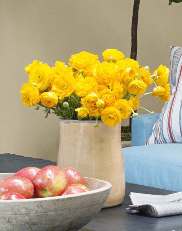 30 ý tưởng trang trí nhà đẹp bằng hoa