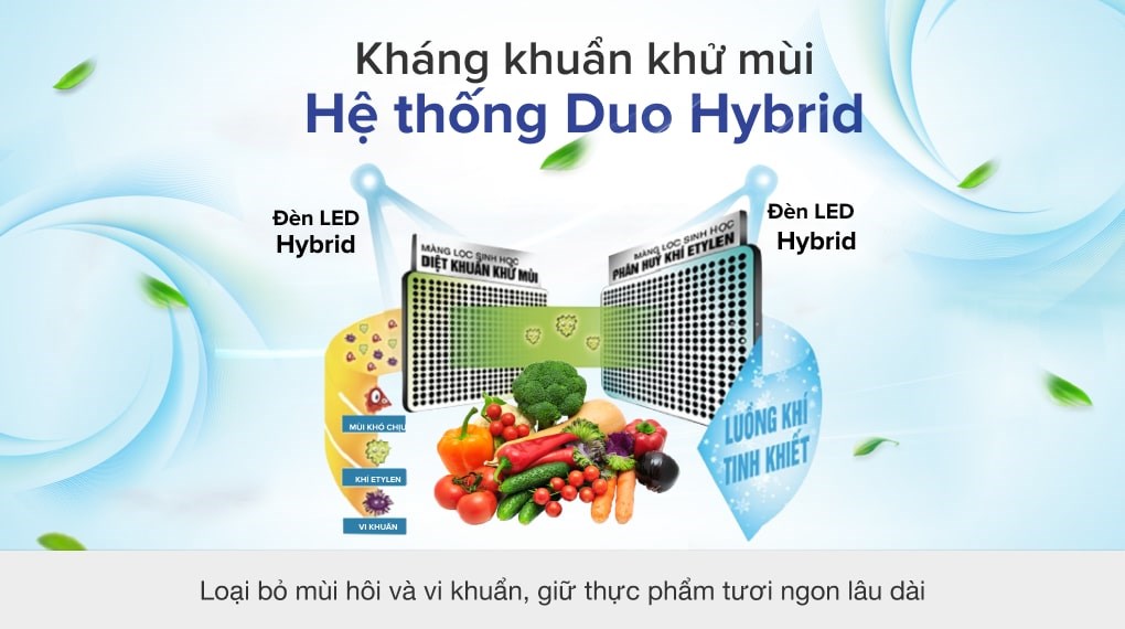 Tủ lạnh Toshiba inverter 555 lít GR-AG58VA/X (MÀU BẠC)