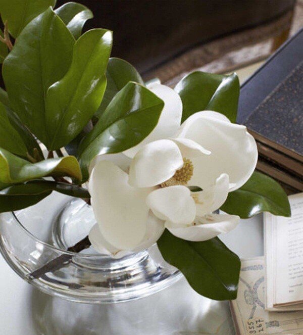 30 ý tưởng trang trí nhà đẹp bằng hoa