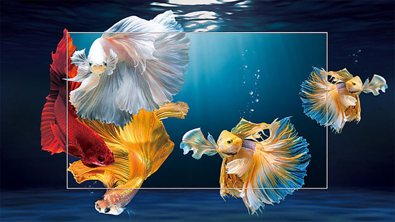 Android Tivi TCL 4K 55 inch 55T65 Giọng nói